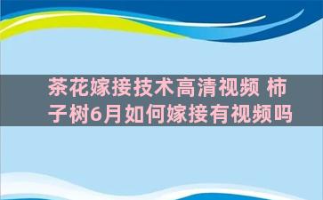 茶花嫁接技术高清视频 柿子树6月如何嫁接有视频吗